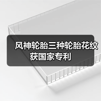 风神轮胎三种轮胎花纹获国家专利(图3) 风神轮胎三种轮胎花纹获国家专利(图3)