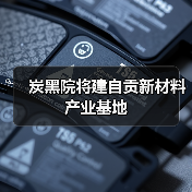 炭黑院将建自贡新材料产业基地（图1）