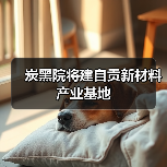 炭黑院将建自贡新材料产业基地（图3）