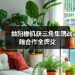 益阳橡机获三角集团战略合作金牌奖(图2) 益阳橡机获三角集团战略合作金牌奖(图2)