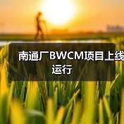 南通厂BWCM项目上线运行（图4）