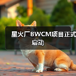 星火厂BWCM项目正式启动(图1) 星火厂BWCM项目正式启动(图1)