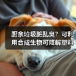 厨余垃圾脏乱臭?可利用合成生物可降解塑料(图4) 厨余垃圾脏乱臭?可利用合成生物可降解塑料(图4)