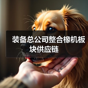 装备总公司整合橡机板块供应链(图2) 装备总公司整合橡机板块供应链(图2)