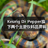 Keurig Dr Pepper旗下两个主要饮料品牌将换上再生塑料瓶(图1) Keurig Dr Pepper旗下两个主要饮料品牌将换上再生塑料瓶(图1)