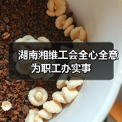 湖南湘维工会全心全意为职工办实事(图2) 湖南湘维工会全心全意为职工办实事(图2)