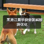 黑龙江昊华获益氯碱板块优化(图2) 黑龙江昊华获益氯碱板块优化(图2)