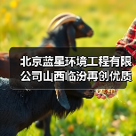 北京蓝星环境工程有限公司山西临汾再创优质工程(图2) 北京蓝星环境工程有限公司山西临汾再创优质工程(图2)