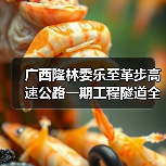 广西隆林委乐至革步高速公路一期工程隧道全部贯通（图1）