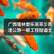 广西隆林委乐至革步高速公路一期工程隧道全部贯通（图4）