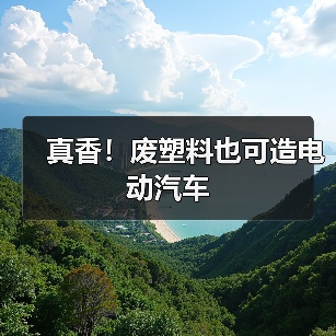 真香！废塑料也可造电动汽车（图2）