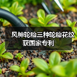 风神轮胎三种轮胎花纹获国家专利(图1) 风神轮胎三种轮胎花纹获国家专利(图1)