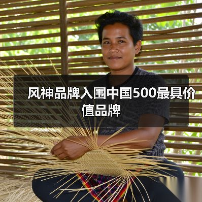 风神品牌入围中国500最具价值品牌(图3) 风神品牌入围中国500最具价值品牌(图3)