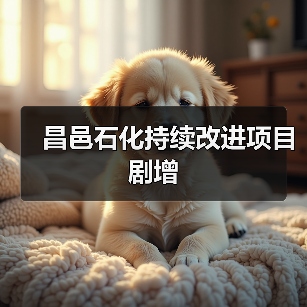 昌邑石化持续改进项目剧增(图3) 昌邑石化持续改进项目剧增(图3)