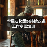 华星石化组织持续改进工作专项培训（图2）