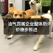 油气直属企业整体后评价稳步推进(图3) 油气直属企业整体后评价稳步推进(图3)