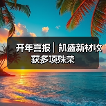 开年喜报 ▏凯盛新材收获多项殊荣（图4）