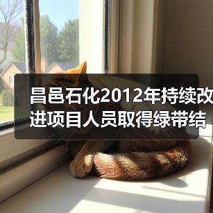 昌邑石化2012年持续改进项目人员取得绿带结业证书(图4) 昌邑石化2012年持续改进项目人员取得绿带结业证书(图4)