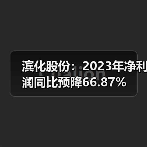 滨化股份:2023年净利润同比预降66.87%(图3) 滨化股份:2023年净利润同比预降66.87%(图3)