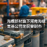 海螺新材旗下河南海螺嵩基公司荣获登封市“2023年度产业发展先进企业”荣誉称号（图4）