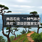 昌邑石化“一种气体水洗塔”项目获国家实用新型专利(图4) 昌邑石化“一种气体水洗塔”项目获国家实用新型专利(图4)