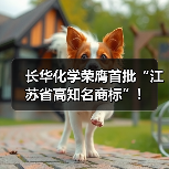 长华化学荣膺首批“江苏省高知名商标”！（图3）