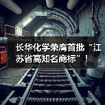 长华化学荣膺首批“江苏省高知名商标”！（图2）