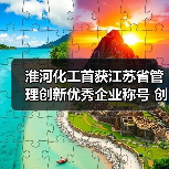 淮河化工首获江苏省管理创新优秀企业称号 创新战略驱动高质量发展(图2) 淮河化工首获江苏省管理创新优秀企业称号 创新战略驱动高质量发展(图2)