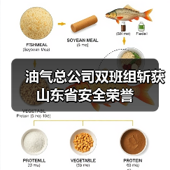 油气总公司双班组斩获山东省安全荣誉（图1）