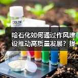 哈石化如何通过作风建设推动高质量发展？提升管理效能关键在干部考核（图1）