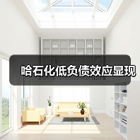 哈石化低负债效应显现(图3) 哈石化低负债效应显现(图3)