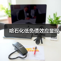 哈石化低负债效应显现(图1) 哈石化低负债效应显现(图1)