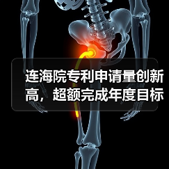 连海院专利申请量创新高,超额完成年度目标(图2) 连海院专利申请量创新高,超额完成年度目标(图2)