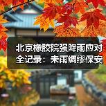 北京橡胶院强降雨应对全记录:未雨绸缪保安全(图4) 北京橡胶院强降雨应对全记录:未雨绸缪保安全(图4)
