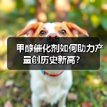 甲醇催化剂如何助力产量创历史新高?(图4) 甲醇催化剂如何助力产量创历史新高?(图4)