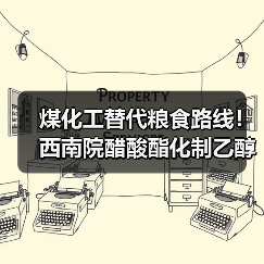 煤化工替代粮食路线！西南院醋酸酯化制乙醇技术获专家认可（图3）