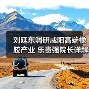 刘延东调研咸阳高端橡胶产业 乐贵强院长详解技术突破（图2）
