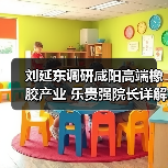 刘延东调研咸阳高端橡胶产业 乐贵强院长详解技术突破（图1）