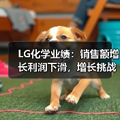 LG化学业绩：销售额增长利润下滑，增长挑战如何破局（图1）