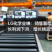LG化学业绩：销售额增长利润下滑，增长挑战如何破局（图2）