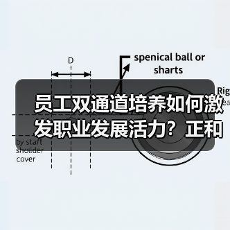 员工双通道培养如何激发职业发展活力？正和石化经验解读（图2）