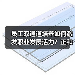 员工双通道培养如何激发职业发展活力？正和石化经验解读（图1）