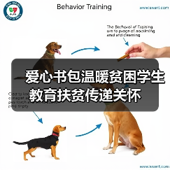 爱心书包温暖贫困学生 教育扶贫传递关怀（图1）