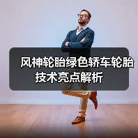 风神轮胎绿色轿车轮胎技术亮点解析（图2）