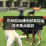 风神轮胎绿色轿车轮胎技术亮点解析（图1）