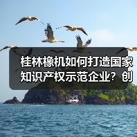 桂林橡机如何打造国家知识产权示范企业?创新实力获认可(图3) 桂林橡机如何打造国家知识产权示范企业?创新实力获认可(图3)
