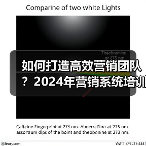 如何打造高效营销团队?2024年营销系统培训深度解析(图4) 如何打造高效营销团队?2024年营销系统培训深度解析(图4)