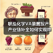 联泓化学VA装置投产，产业链补全如何实现降本增效？（图3）