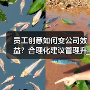 员工创意如何变公司效益?合理化建议管理升级(图3) 员工创意如何变公司效益?合理化建议管理升级(图3)