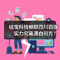 硅宝科技蝉联四川百强,实力究竟源自何方?(图2) 硅宝科技蝉联四川百强,实力究竟源自何方?(图2)